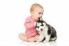 Cão e bebê: as regras de adaptação mútua