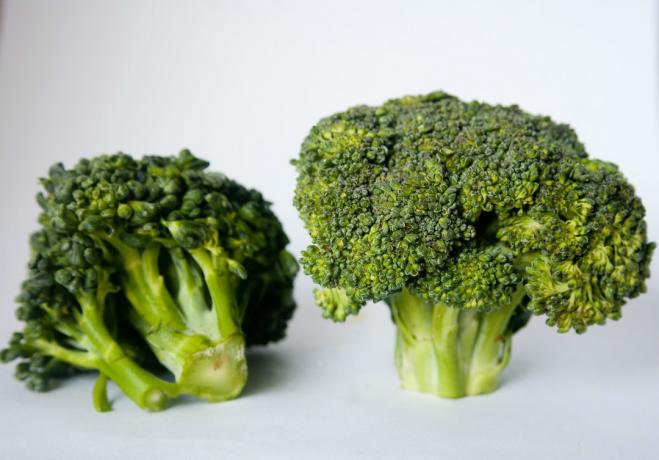 brócolis - 