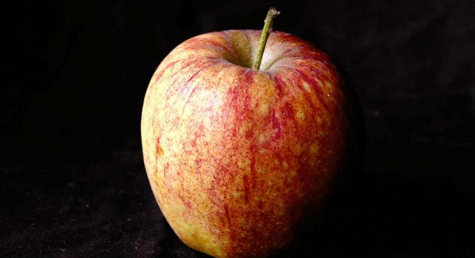 Apple - maçã