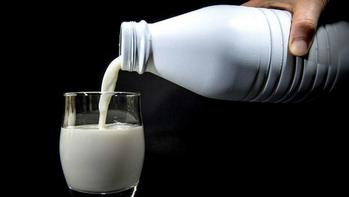 Milk - leite
