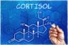 Toda a verdade sobre cortisol: como apoiar o principal hormônio no corpo