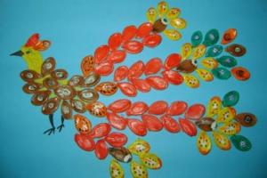 Artigos de sementes de abóbora com as mãos: fotos e idéias