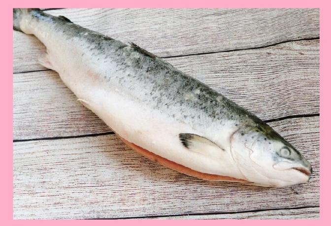 Omega - 3 em peixes (salmão)
