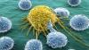 Como a natureza ajuda a combater o câncer