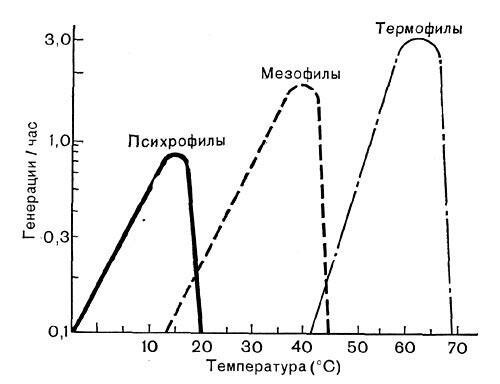 sobrevivência Tabela de microorganismos: mesmo thermophiles (aqueles que gostam d quente) deixam de se reproduzir e morrer a 60 graus.