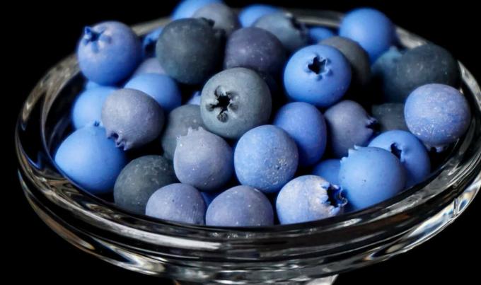 Blueberries - blueberry