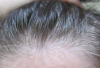 A coloração de cabelos grisalhos por 20 minutos em casa. Caro cabeleireiro não é mais necessário