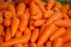 Alimentos complementares infantis: como introduzir a cenoura na alimentação infantil