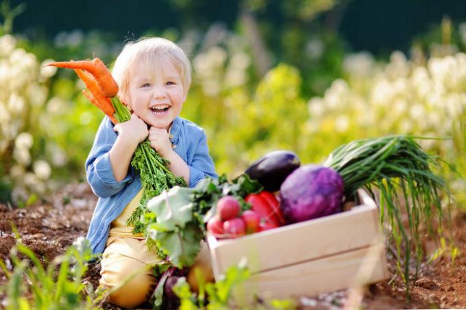 Tabela de calorias de alimentos comumente consumidos