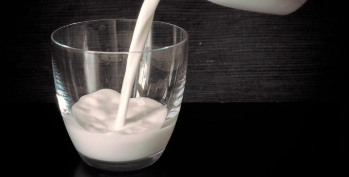 Produtos lácteos - produto lácteo