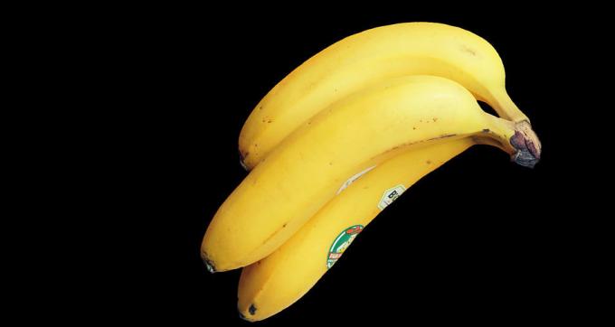 Bananas - Bananas
