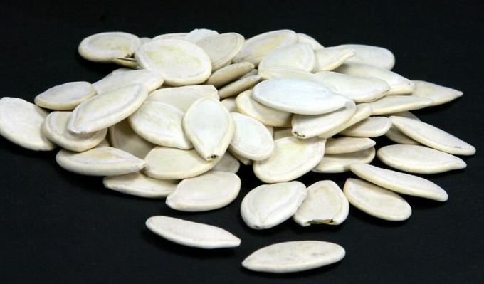  As sementes de abóbora - semente de abóbora
