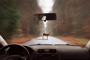 Drivers atente para na estrada: 3 principais fatores de risco