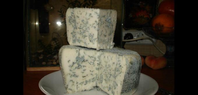 queijo Roquefort - queijo roquefort