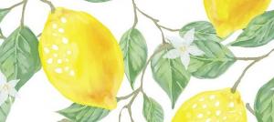 Lemon - ainda alimentos ácidos ou alcalinos?