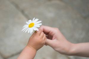 8 ótimas maneiras de ensinar seu filho a dizer "obrigado": Psicólogo Board