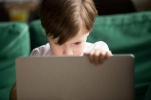 Armadilhas na rede: TOP-10 regras de comportamento seguro online para crianças