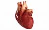 Os sintomas e os primeiros socorros para o enfarte agudo do miocárdio
