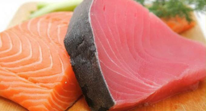 atum e salmão peixe de carne - carne do atum (direita) e peixes da família do salmão (à esquerda)