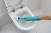 Meu método para a limpeza do vaso sanitário de cálculos urinários e placa