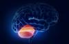 Um tumor de cerebelo: sintomas patológicos