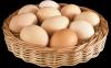 10 das propriedades dos ovos. O mito da sua nocividade