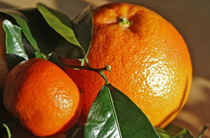 Orange - laranja