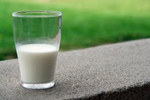 Top 7 razões pelas quais o leite de cabra