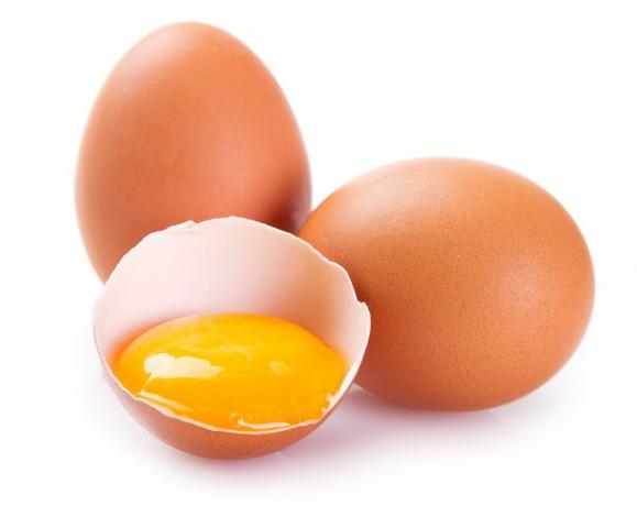 Os ovos de galinha